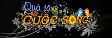 Vodeo Quà tặng cuộc sống