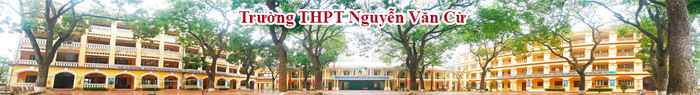 Truong nvc